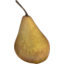 Photo of Pears Bosc Brown