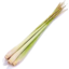 Photo of Lemongrass Stick