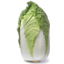 Photo of Chinese Cabbage Ea
