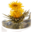 Photo of China Tea Flower - Golden Bloom 5g