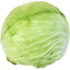 Photo of Cabbage Plain