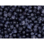 Photo of Harvestime Wild Blueberries