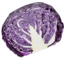 Photo of Cabbage - Red Half Half