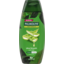 Photo of Palmolive Naturals 2in1 Healthy & Smooth Shampoo & Conditioner