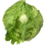 Photo of Lettuce Ice Berg 