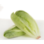 Photo of Lettuce Cos Baby