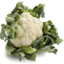 Photo of Cauliflower