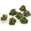 Photo of Kale - Bouquet
