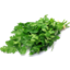 Photo of Herbs C/F Parsley Flat Leaf