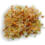 Photo of Sprouts Lentil
