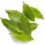 Photo of Bay Leaves Min