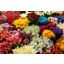 Photo of Assorted Flowers