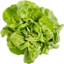 Photo of Farmers Choice Hydroponic Butter Lettuce Each