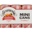 Photo of Bundaberg Pink Grapefruit Mini Cans