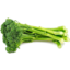 Photo of Baby Broccoli Bunch