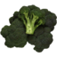 Photo of Broccoli Bunch Each