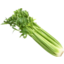 Photo of Celery Each