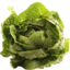 Photo of Lettuce Cos Baby Washed P/P
