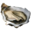 Photo of Oysters Dozen