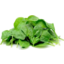 Photo of Spinach Leaves Organic Kg