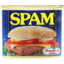 Photo of Spam Tinned Meat Regular