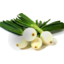 Photo of Onion, Salad