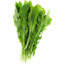 Photo of Loose Leaf Roquette Per Kg