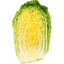 Photo of Wombok Cabbage 1/2