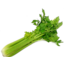 Photo of Celery Whole
