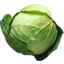 Photo of Drumhead Cabbage Whole 