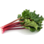 Photo of Rhubarb