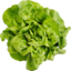 Photo of Lettuce - Butter