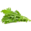 Photo of YORKTOWN Mizuna Green Microgreen Salad 100g