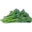 Photo of Broccoli Baby