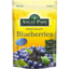 Photo of Angas Park Dried Blueberries 70g