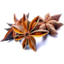 Photo of Herb Dried - Aniseed Star Master Of Spice