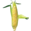 Photo of Organic Corn