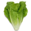 Photo of BABY COS LETTUCE ORGANIC EACH