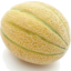 Photo of Melon Rock/Canteloupe Medium 