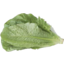 Photo of Lettuce Cos Ea