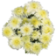 Photo of Chrysanthemum Bunch