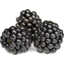 Photo of Blackberries Punnet Ea