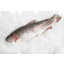 Photo of Clamms Whole Rainbow Trout kg