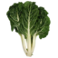 Photo of Spinach