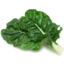 Photo of Silverbeet Spinach Ea