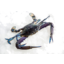 Photo of Whole Raw Blue Swimmer Crab Ea