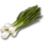 Photo of Spring Onions Bunch