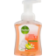 Photo of Dettol Foaming Antibacterial Hand Wash Lime And Orange 250ml