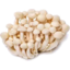 Photo of White Beech Mushrooms