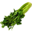 Photo of Celery Organic Half